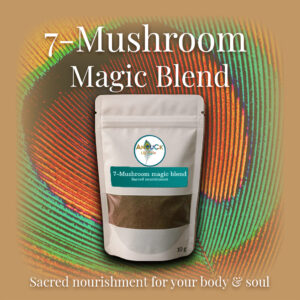 7-Mushroom magic blend